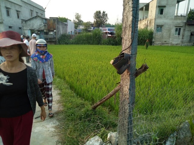 Vợ chết, chồng nguy kịch khi kéo điện ra đồng bẫy chuột