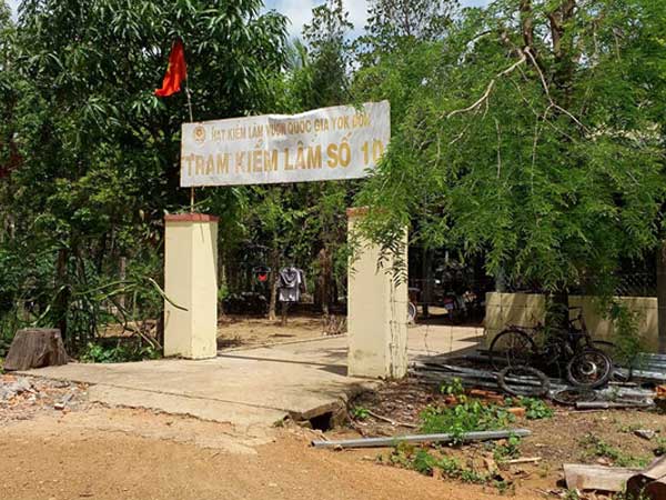 Khởi tố trạm trưởng kiểm lâm nhận tiền của Phượng râu