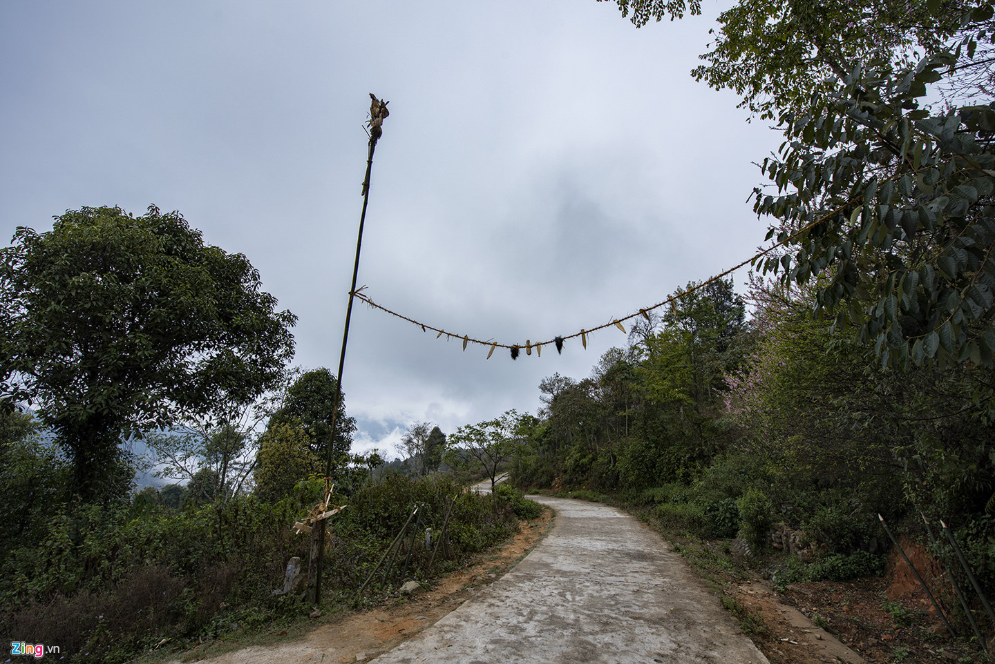 Lễ cúng rừng độc đáo của người Hà Nhì