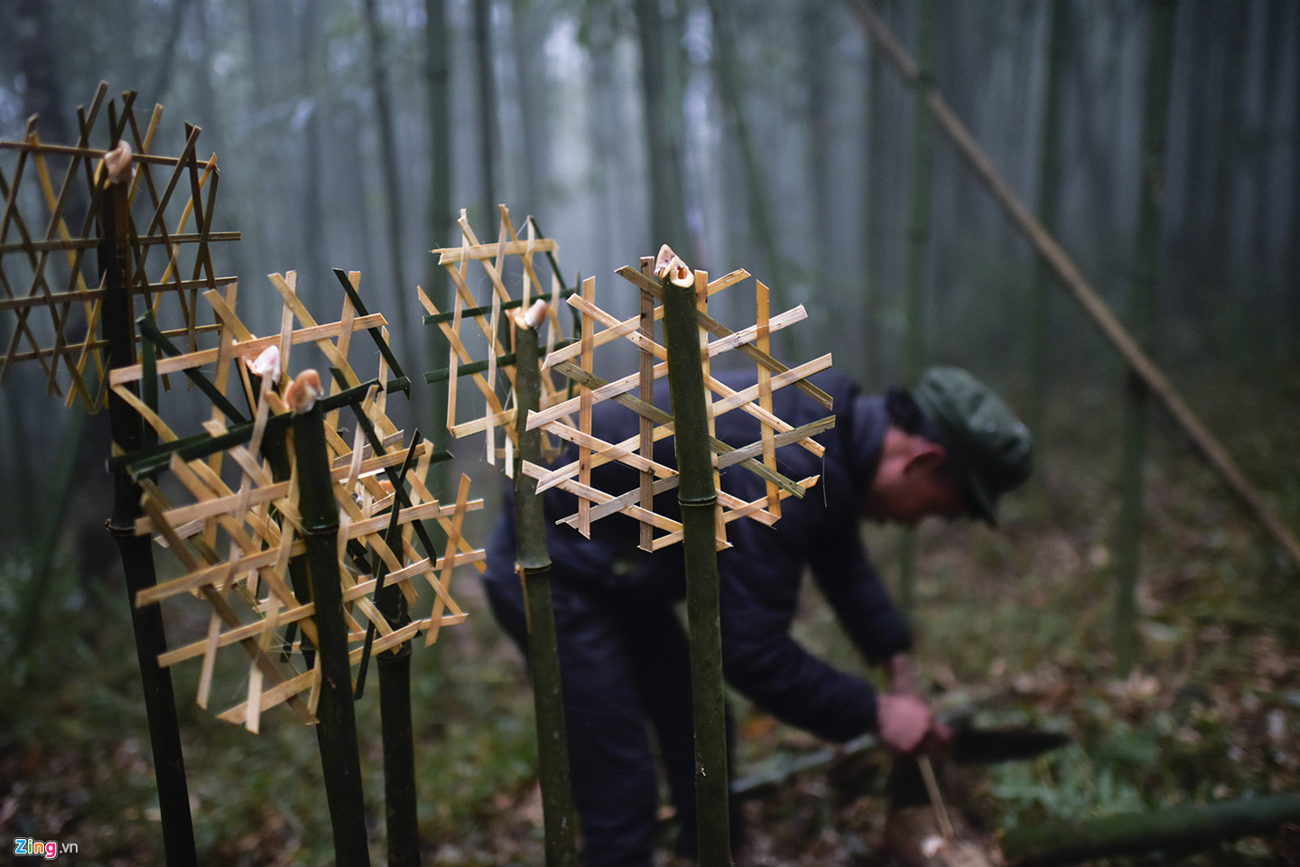 Lễ cúng rừng độc đáo của người Hà Nhì