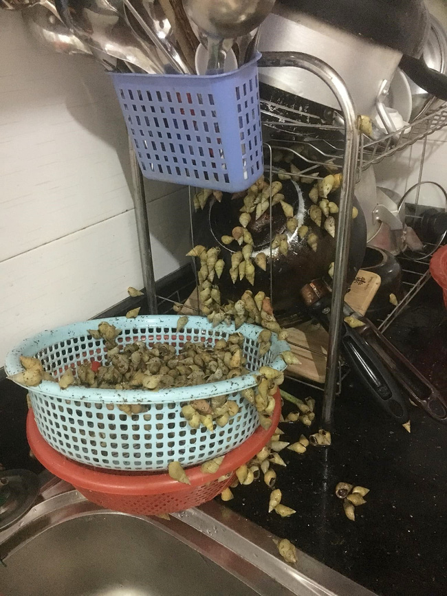 Được tặng món đặc sản nhưng quên không ăn, sáng ra cô gái trẻ rùng mình với cảnh tượng kinh hoàng trên bàn bếp