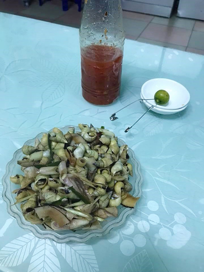 Được tặng món đặc sản nhưng quên không ăn, sáng ra cô gái trẻ rùng mình với cảnh tượng kinh hoàng trên bàn bếp