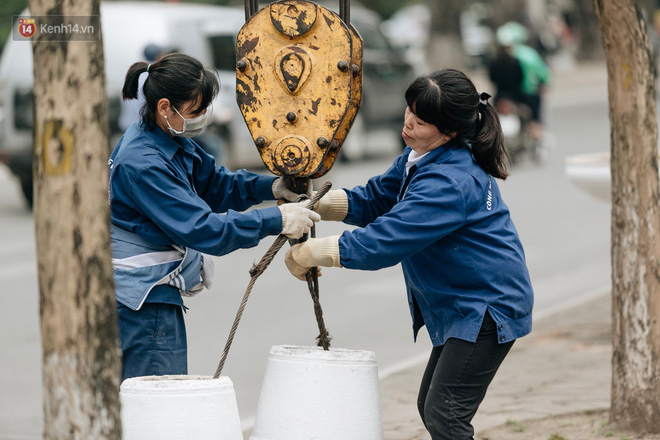 Clip bức xúc: Nhiều người dừng xe giữa đường phố Hà Nội mót hoa trang trí, lãnh đạo Công ty Công viên cây xanh lên tiếng