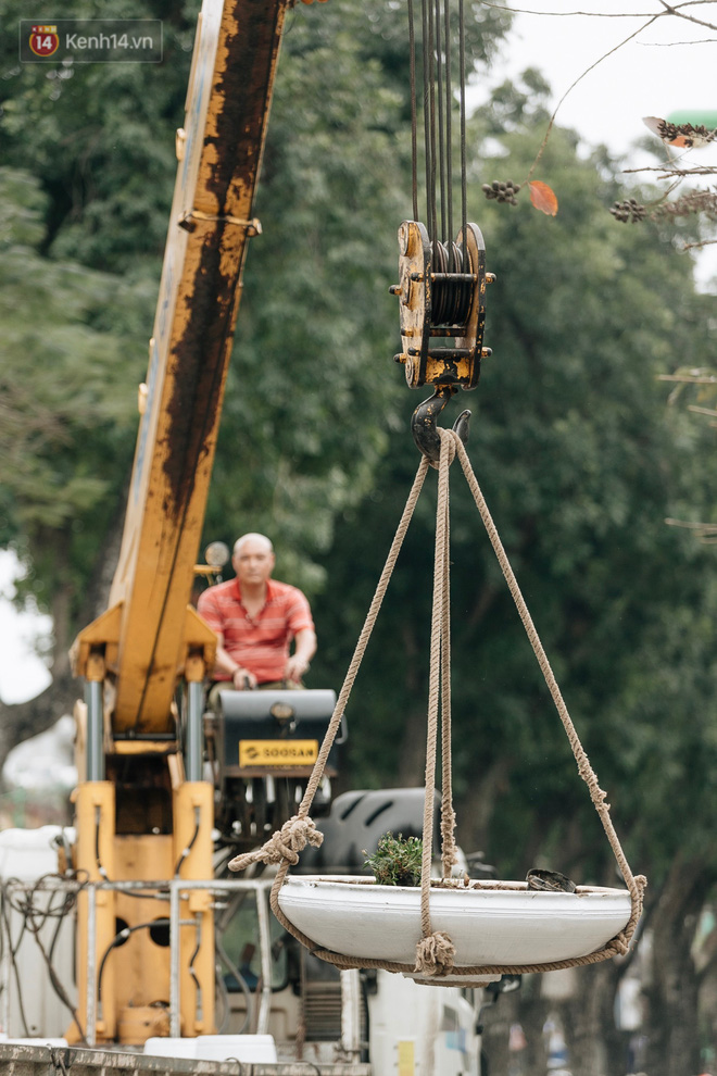 Clip bức xúc: Nhiều người dừng xe giữa đường phố Hà Nội mót hoa trang trí, lãnh đạo Công ty Công viên cây xanh lên tiếng Clip bức xúc: Nhiều người dừng xe giữa đường phố Hà Nội mót hoa trang trí, lãnh đạo Công ty Công viên cây xanh lên tiếng