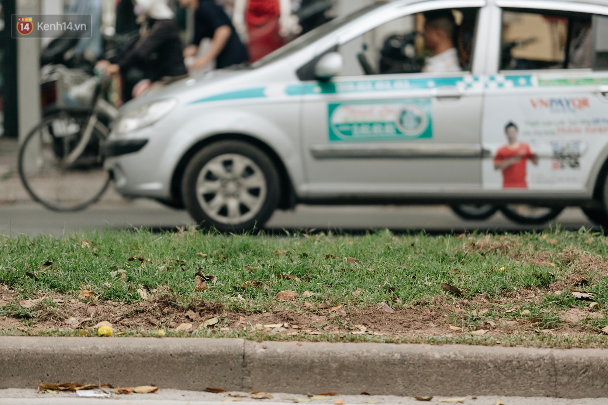 Clip bức xúc: Nhiều người dừng xe giữa đường phố Hà Nội mót hoa trang trí, lãnh đạo Công ty Công viên cây xanh lên tiếng