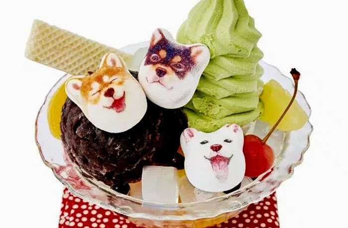 Quà lạ 8/3: Bộ mặt chó 9 biểu cảm gây sốt thị trường