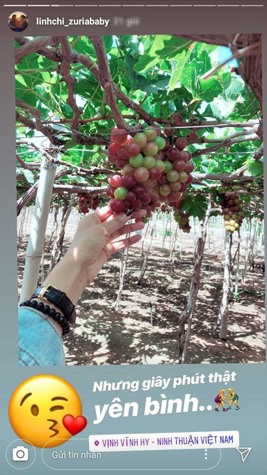 Linh Chi và Lâm Vinh Hải nhiệt tình khoe đi du lịch dù khóa facebook cá nhân vì không chịu nổi áp lực dư luận sau scandal