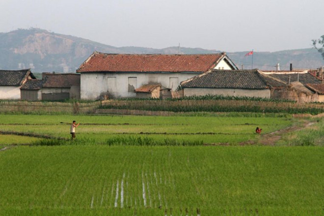 Sản lượng lương thực Triều Tiên thấp nhất trong một thập kỷ qua