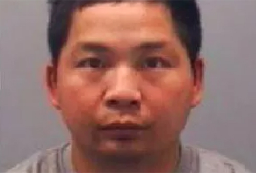 Anh phạt tù người Việt điều hành mạng lưới trồng cần sa gần 700.000 USD