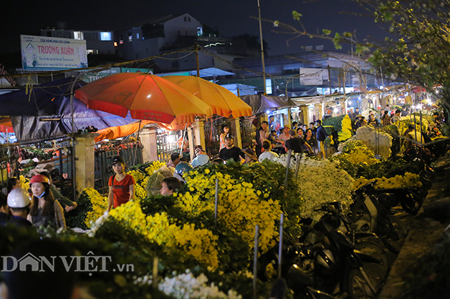 Hình ảnh náo nhiệt tại chợ hoa lớn nhất Hà Nội trước ngày 8.3