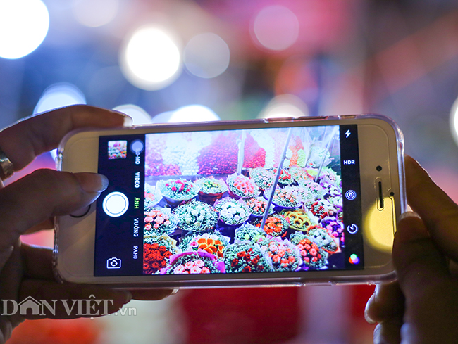 Hình ảnh náo nhiệt tại chợ hoa lớn nhất Hà Nội trước ngày 8.3