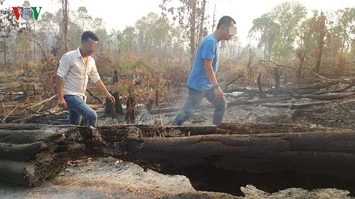 Chùm ảnh: Tan hoang rừng biên giới Gia Lai