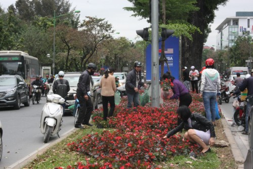 Đề nghị trích xuất camera làm rõ vụ dân hôi hoa trang trí sau thượng đỉnh Mỹ - Triều