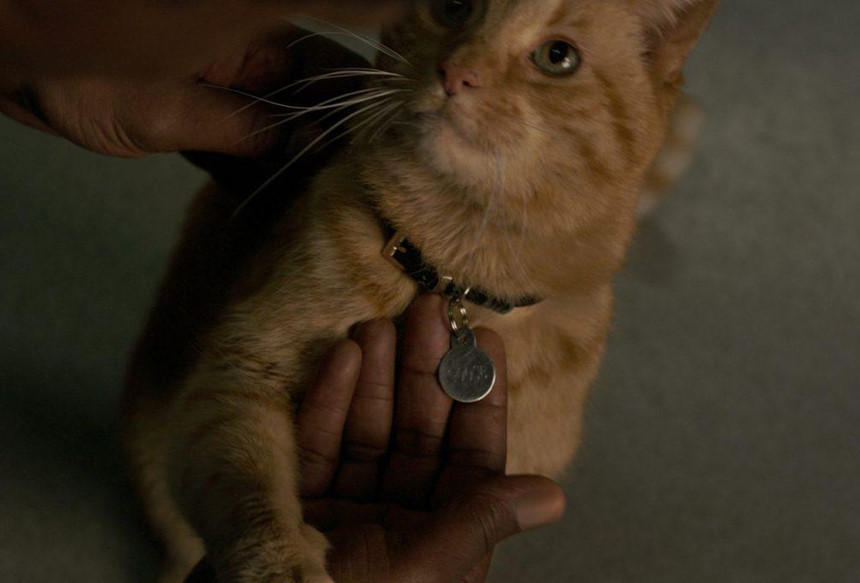 ‘Captain Marvel’ - màn chào sân dang dở của nữ anh hùng mạnh nhất MCU