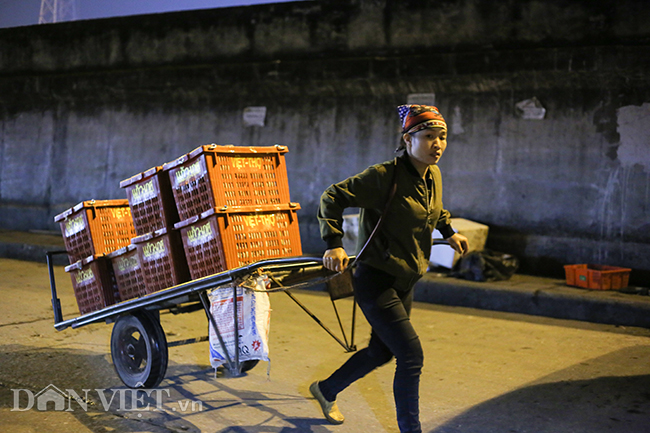 Hình ảnh những bóng hồng trong đêm ở chợ Long Biên ngày 8.3