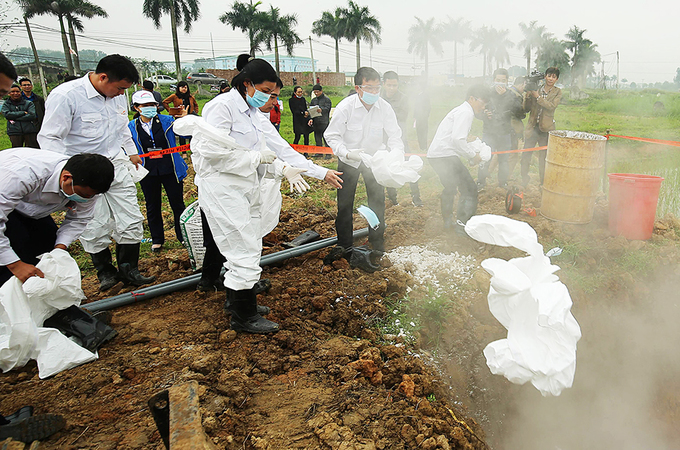Hà Nội diễn tập ứng phó dịch tả lợn châu Phi
