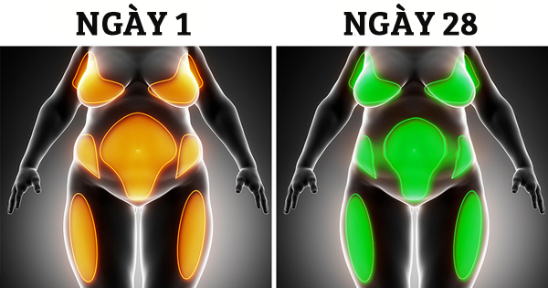 Cơ thể sẽ ra sao nếu bạn ngừng uống rượu bia trong 28 ngày? Cơ thể sẽ ra sao nếu bạn ngừng uống rượu bia trong 28 ngày?