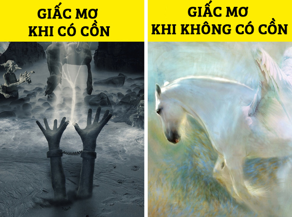 Cơ thể sẽ ra sao nếu bạn ngừng uống rượu bia trong 28 ngày? Cơ thể sẽ ra sao nếu bạn ngừng uống rượu bia trong 28 ngày?