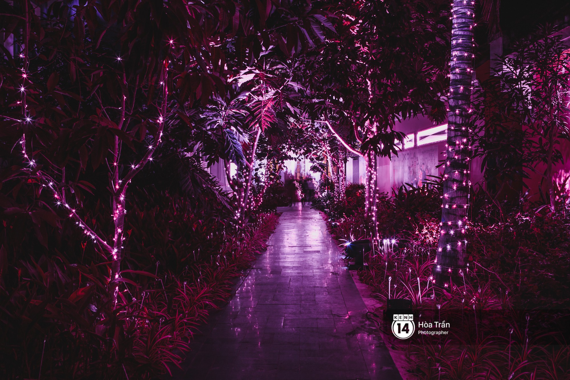 Cặp đôi tỷ phú Ấn Độ lộng lẫy cùng các khách mời đại gia vào đêm tiệc Pink Party đầu tiên ở Phú Quốc