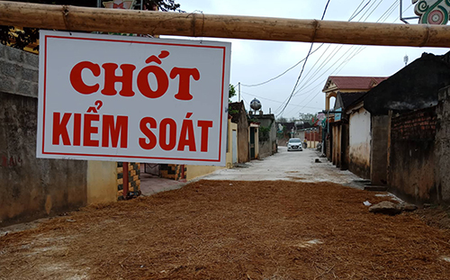 Dịch tả lợn châu Phi lan ra 12 tỉnh, thành