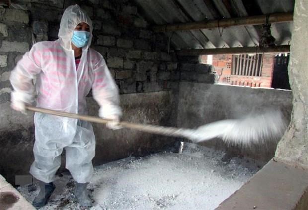 Hưng Yên lập 170 chốt kiểm dịch để ngăn dịch tả lợn châu Phi