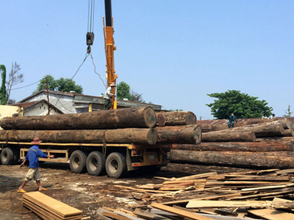 Lái xe bị hàng tấn gỗ tràn xuống đè tử vong