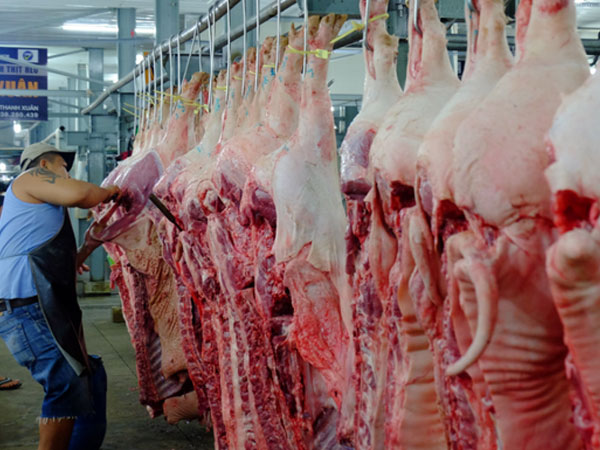TP.HCM: Hơn 1 tấn thịt heo giết mổ chui, có dấu hiệu lở mồm long móng bị bắt tại chợ đầu mối Bình Điền