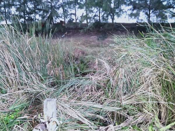 Khởi tố ác phụ đất Cảng sát hại chồng rồi giấu xác phi tang