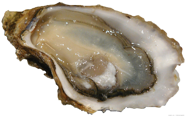 10 loại thực phẩm tốt nhất cho cuộc sống tình dục 10 loại thực phẩm tốt nhất cho cuộc sống tình dục