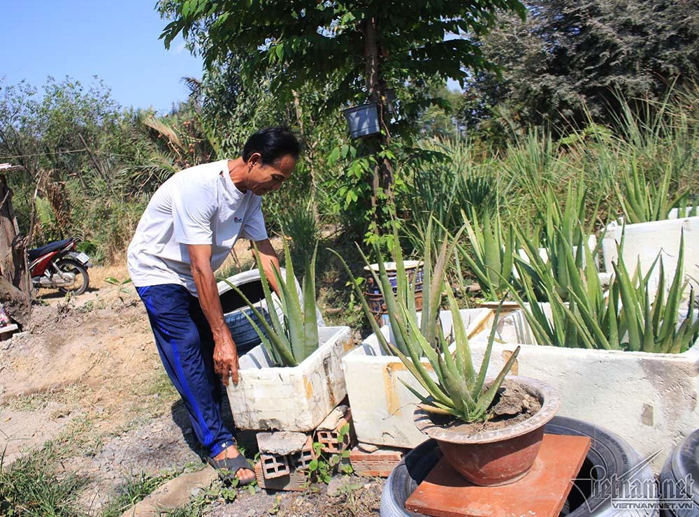 Cuộc đời kỳ lạ trong căn chòi nát trên đất vàng triệu đô Sài Gòn