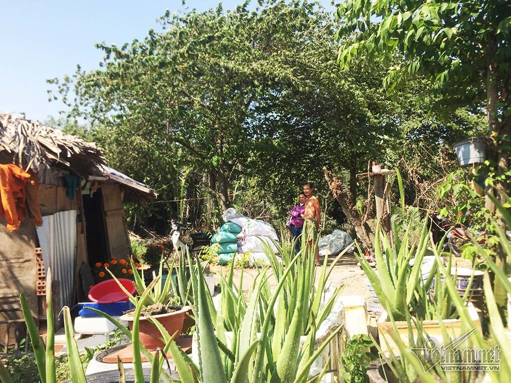 Cuộc đời kỳ lạ trong căn chòi nát trên đất vàng triệu đô Sài Gòn