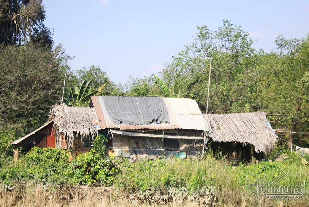 Cuộc đời kỳ lạ trong căn chòi nát trên đất vàng triệu đô Sài Gòn