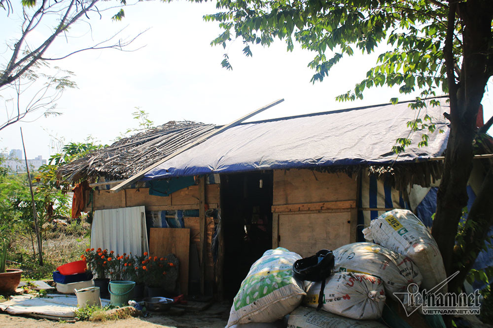 Cuộc đời kỳ lạ trong căn chòi nát trên đất vàng triệu đô Sài Gòn
