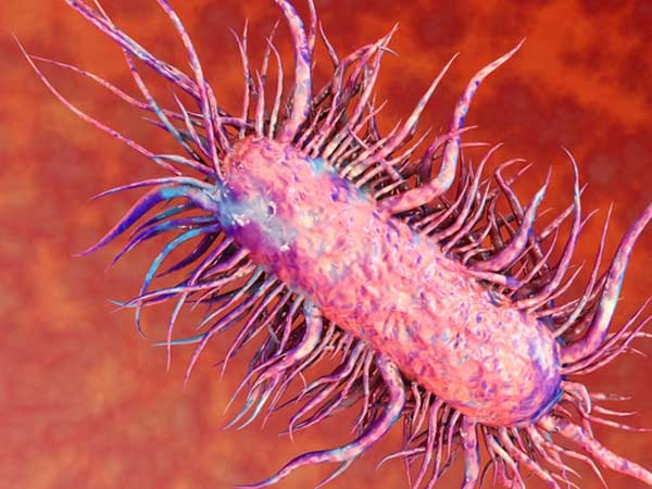 Nghĩ cơn đau vùng hậu môn là bệnh trĩ: Bệnh nhân nhiễm vi khuẩn ăn thịt người, thối ruột mà không hay