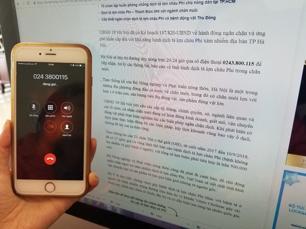 Đường dây nóng trực dịch tả lợn châu Phi tại Hà Nội ... đông lạnh