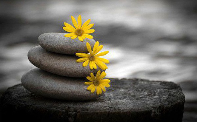 Đàn ông 40: 2 việc không làm, 3 điều không kích động và 4 thứ không được thay đổi