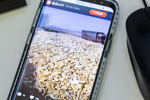 Thương lái Trung Quốc hào hứng với trào lưu livestream của nông dân