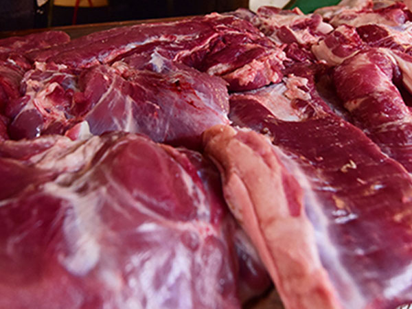 Thương lái ép giá lợn do dịch tả châu Phi