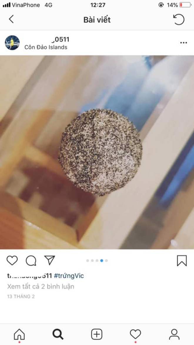 Cô gái bị tố mua trứng rùa biển rồi luộc ăn, không quên khoe trên Instagram khi du lịch Côn Đảo khiến nhiều người phẫn nộ