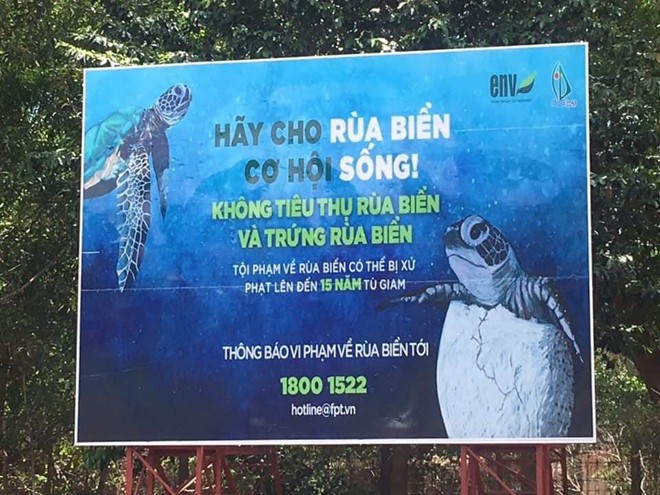 Cô gái bị tố mua trứng rùa biển rồi luộc ăn, không quên khoe trên Instagram khi du lịch Côn Đảo khiến nhiều người phẫn nộ