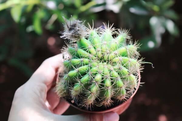 Cố gắng mãi sự nghiệp vẫn chẳng đâu vào đâu, kiểm tra xem trên bàn có 5 thứ này thì phải vứt đi ngay lập tức Cố gắng mãi sự nghiệp vẫn chẳng đâu vào đâu, kiểm tra xem trên bàn có 5 thứ này thì phải vứt đi ngay lập tức