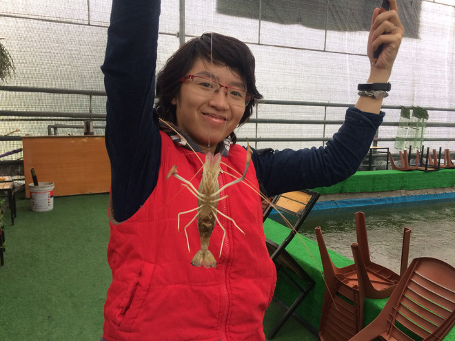 Chi tiền triệu câu thử tôm càng xanh giữa phố Hà Nội