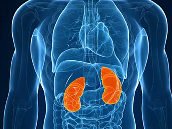 7 bộ phận cơ thể nếu thiếu con người vẫn sống