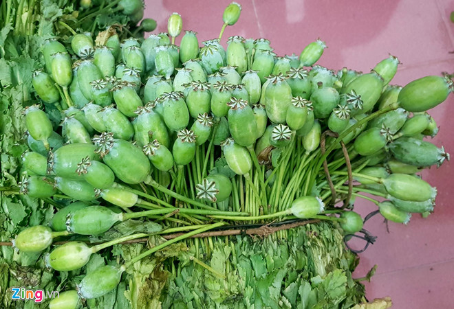 Rủ nhau trồng thuốc phiện trên nương để bán