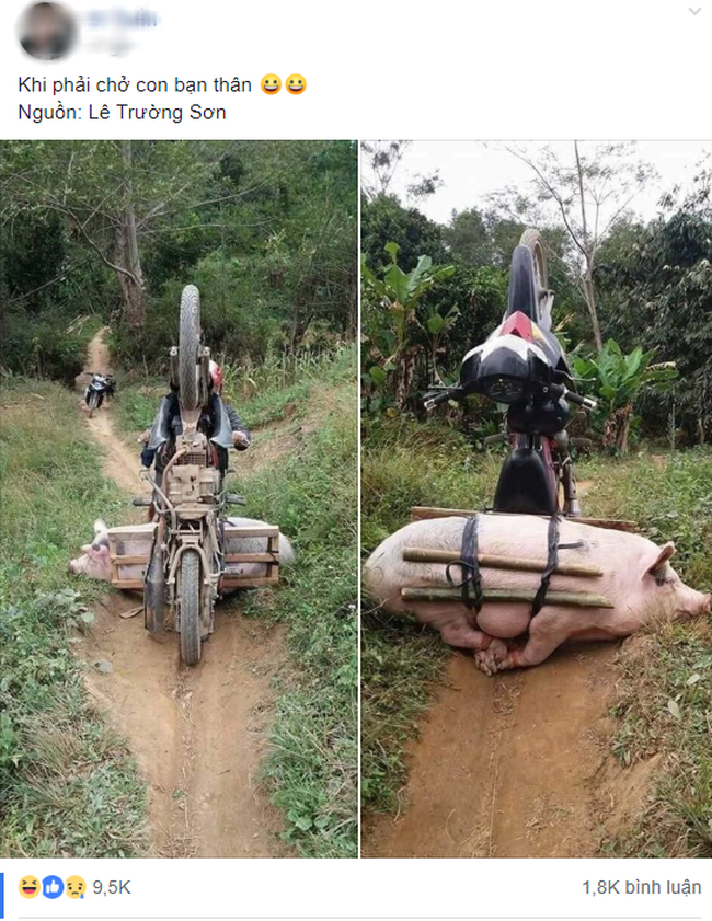 Anh chàng lái xe chở cô bạn thân bị ngã lộn nhào, dân mạng nhanh tay tag bạn vào với ý nhị đằng sau