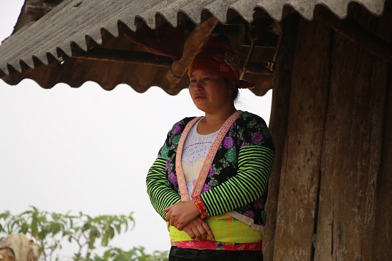 Dịch tả lợn châu Phi: Khóc đỏ mắt nhìn chôn con lợn to như con nghé