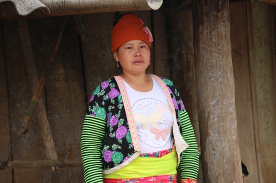 Dịch tả lợn châu Phi: Khóc đỏ mắt nhìn chôn con lợn to như con nghé