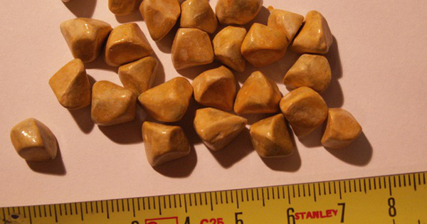 Cô gái bị thủng dạ dày, chỉ vì giảm cân theo cách nhiều người Việt đang làm