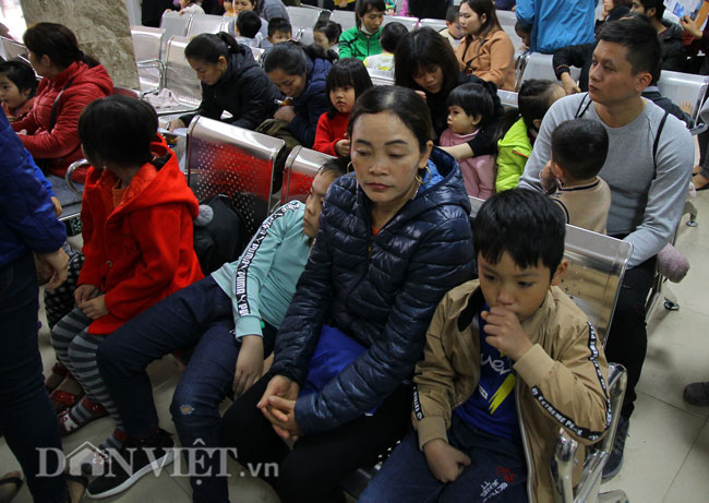 Video ảnh: Nghìn nhà vạ vật bệnh viện xét nghiệm sán lợn cho con