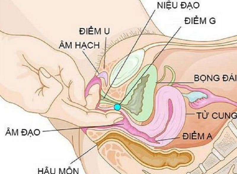 Hãy tìm điểm G cho riêng mình Hãy tìm điểm G cho riêng mình